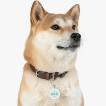 Load image into Gallery viewer, CYA Ceramic Your Assets (cyan) Pet Tag
